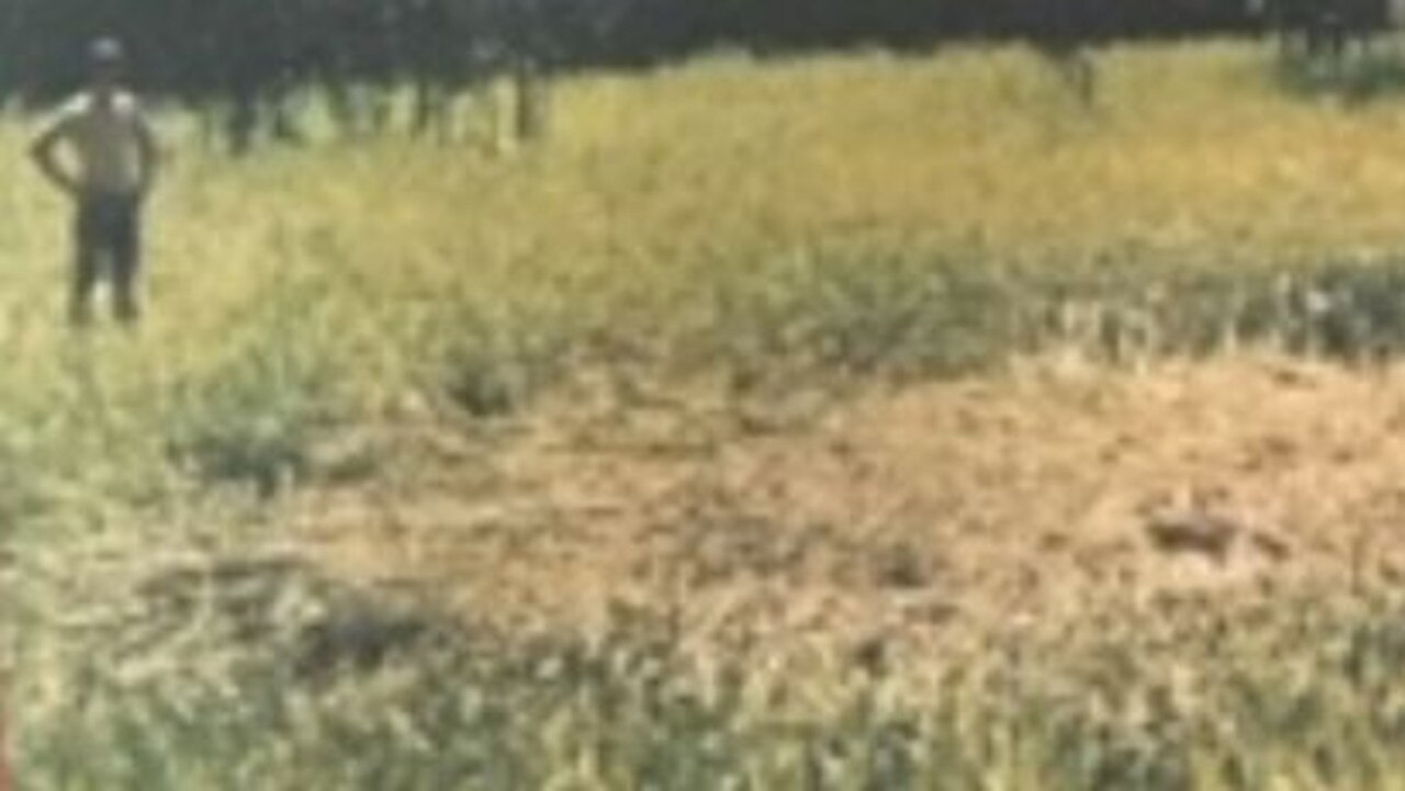 A burn mark left at Hartwig's Tellebang property in 1971.