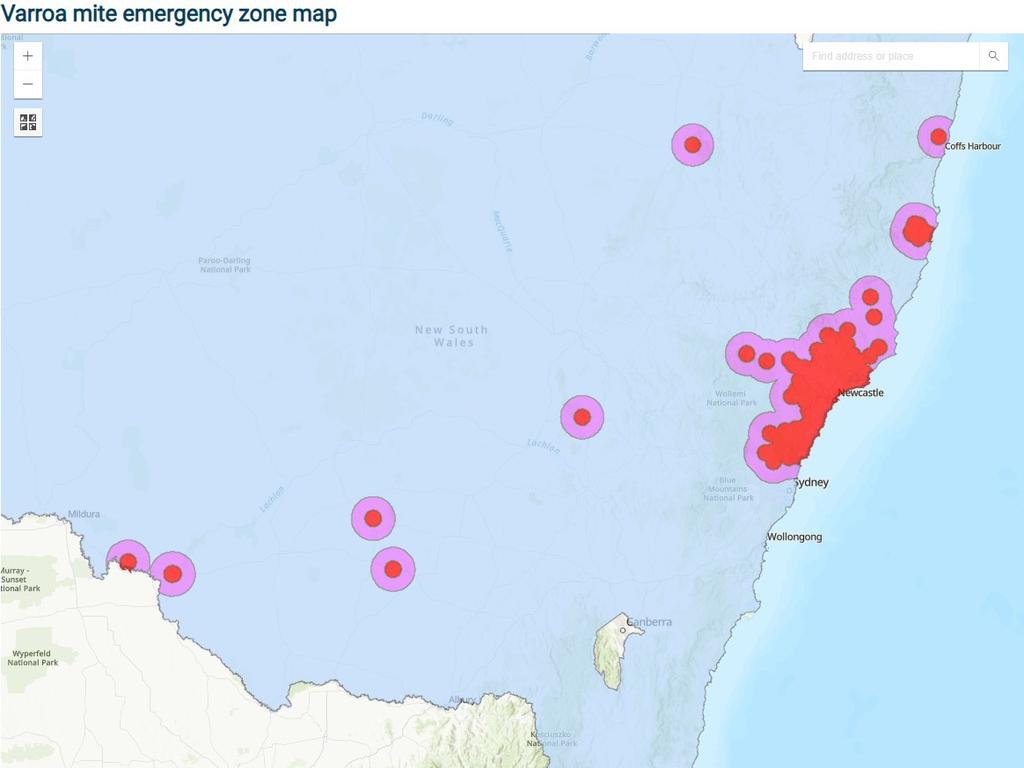 Varroa mites have been detected at a second site on the NSW- Victoria ...