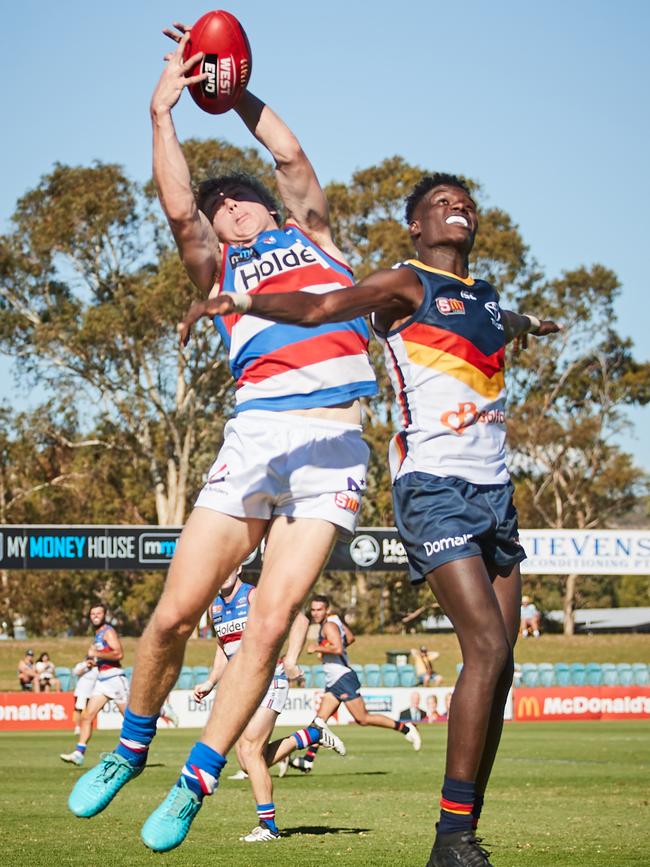 Central's Cooper Dahms will be a handy return after an ACL injury. Picture: AAP Image/MATT LOXTON