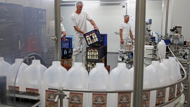 Troy Charnock with some of the milk that has just come off the bottling line at Tilba Real Dairy. Picture: Toby Zerna