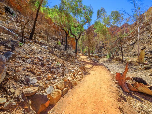 The footpath along walk trail to get to popular gorge of Standley Chasm through eucalyptus trees and rocks of West MacDonnell Ranges outside of Alice Springs, Northern Territory, Central Australia.Escape 3 December 2023My Travel CVPhoto - iStock