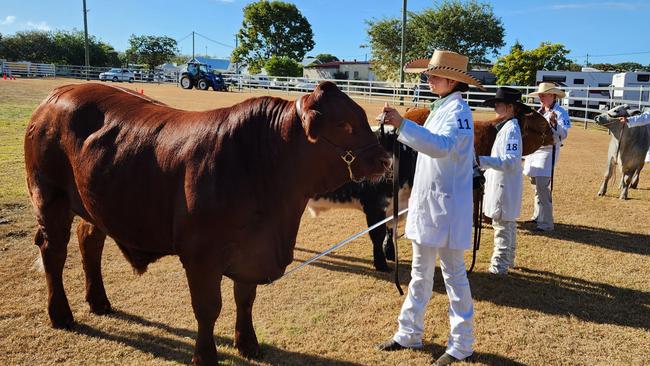 2023 Subchamber paraders and young judges were put through their paces at the Gin Gin Show.<br/>Pictured: Under 15 Paraders Winners Bella Cook, Emily Price and Katrina Palmer.