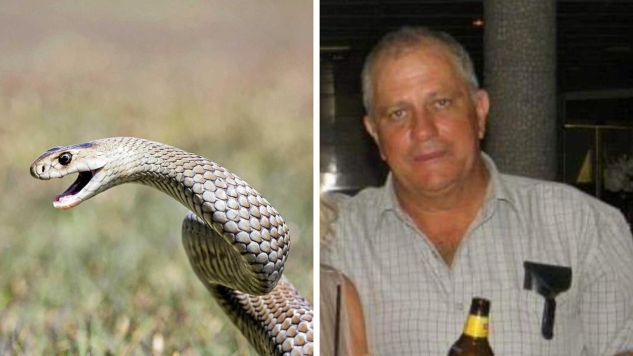 After a grandfather died at his school reunion, doctors are calling for more education on snake bites and report there have been nearly 100 incidents in the last year.