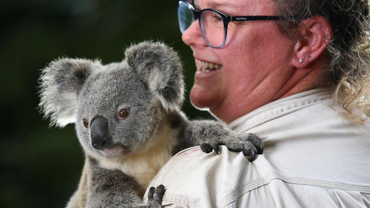 Currumbin Wildlife Sanctuary's Sarah Eccleston. Picture: Adam Head