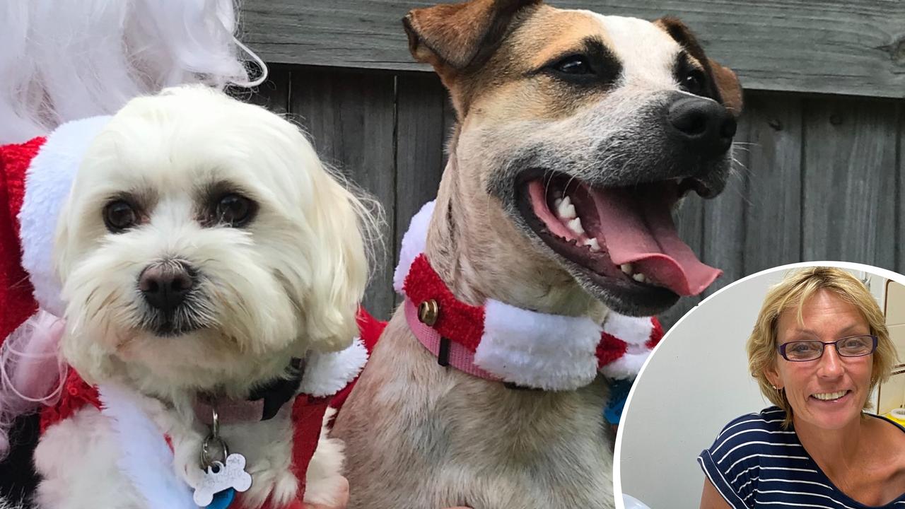 Penny and Ruby get ready to celebrate Christmas without any extras from the naughty list thanks to vet Dorothea Hoffman’s tips.