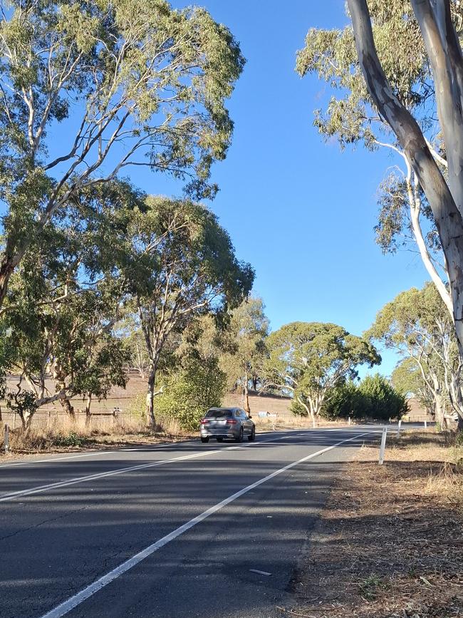 The stretch of Echunga Rd at Paechtown in the Adelaide Hills where the crash occurred. Picture: Agnes Gichuhi