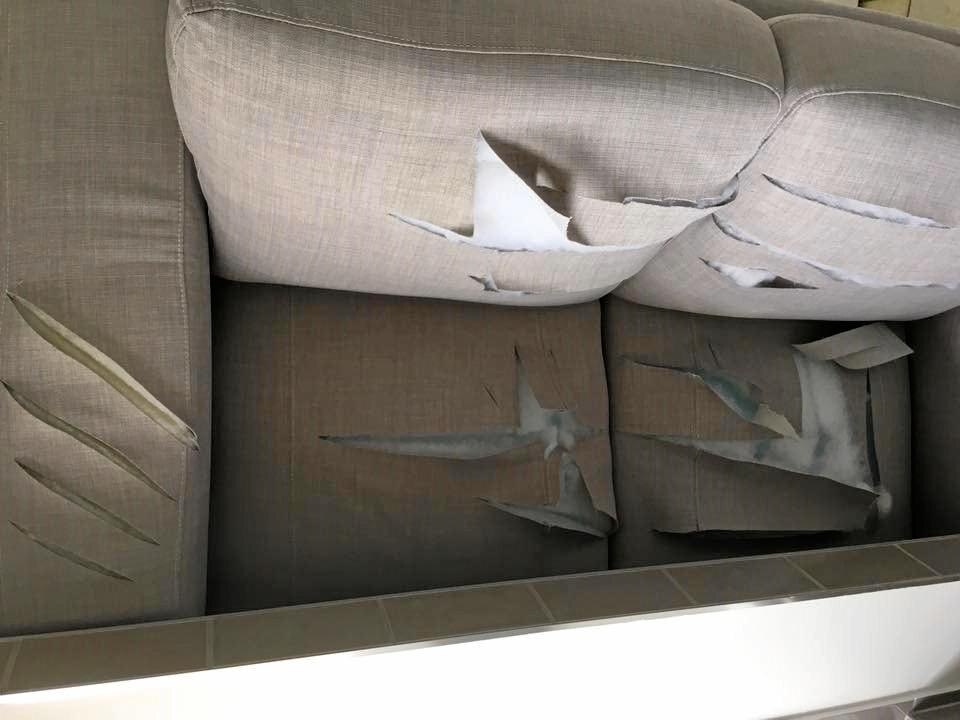 VANDALISED PROPERTIES: A slashed couch. Picture: Contributed