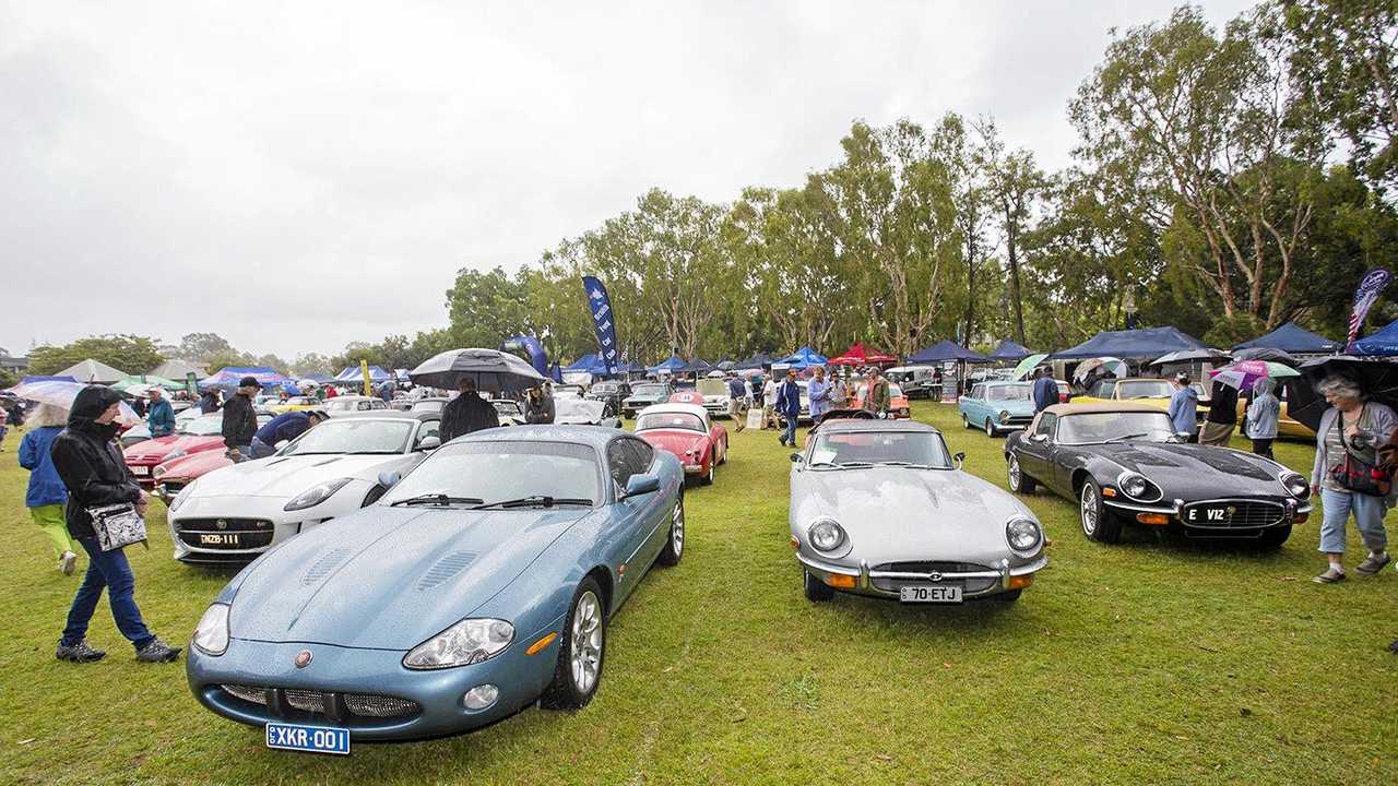 British Jaguars enjoy typically British weather. Picture: Iain Curry