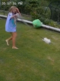 A brave 12-year-old girl named Rosie rescued her pet guinea pig from the jaws of a snake in the backyard of Kip Wightman’s family home. Picture: Kip Wightman