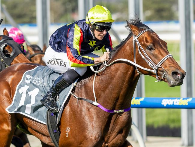 Goldrush Guru wins at Morphettville in September. Picture: Makoto Kaneko