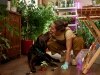 The top 10 plants to keep away from dogs