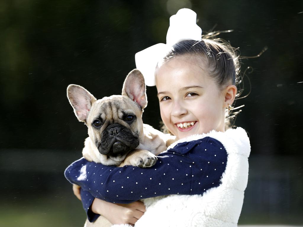 Ava Lamb, 8, posing with Fury the french bulldog. Picture: AAP/Josh Woning