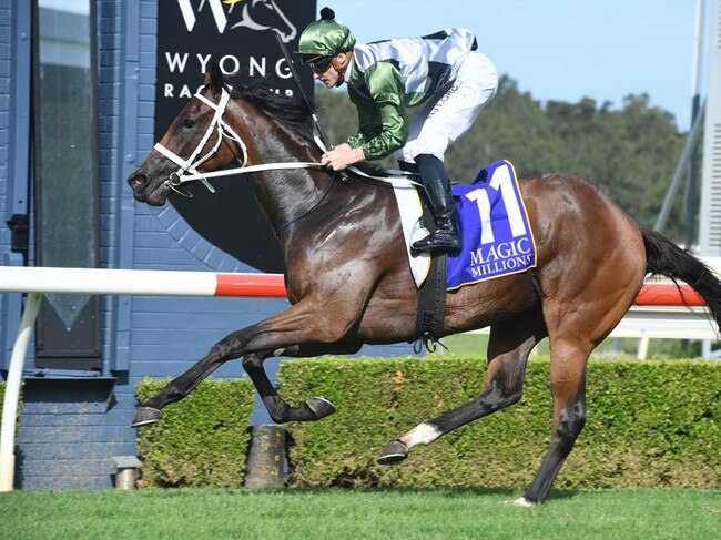 She's All Class wins Wyong Magic Millions. Picture: Steve Hart Photographics