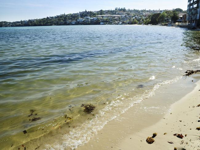 Where Not To Swim Rose Bay Beach Is One Of The Worst Swimming Spots In 
