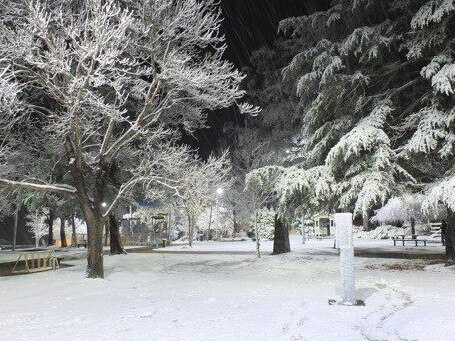 Nothing could stop Gail on her quest to document the Granite Belt snow fall.   Photo Contributed