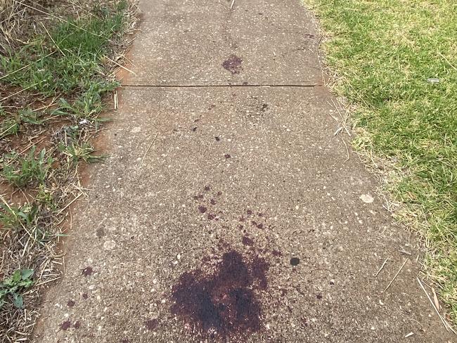 A blood trail on Bubner St, Elizabeth South, where a man suffered serious facial injuries in an incident on about 11.30pm Wednesday, January 25, 2024. Picture: VanDerVegt