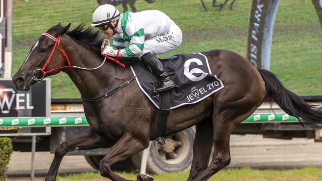 Mark Du Plessis delivered the goods on Kisukano in the QTIS Jewel at the Gold Coast. Picture: AAP
