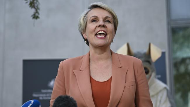 Minister for the Environment and Water Tanya Plibersek. Picture: Martin Ollman