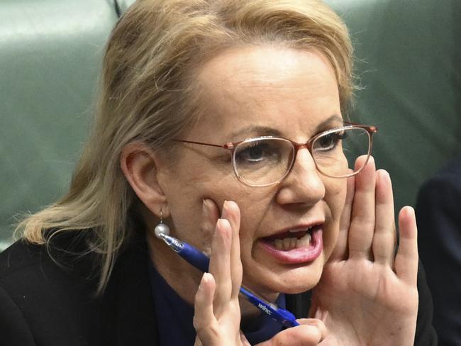 CANBERRA, AUSTRALIA  - NewsWire Photos - November 20, 2024: Deputy Leader of the Opposition Sussan Ley  during Question Time at Parliament House in Canberra. Picture: NewsWire / Martin Ollman