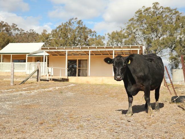 This is just some of the land that was sold to the Chinese developers. Picture: Richard Dobson