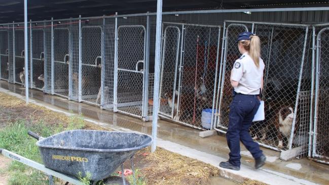 Kerrie Fitzpatrick was found guilty of multiple counts of animal cruelty. Photo: RSPCA