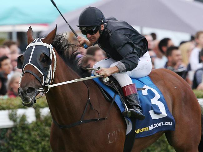 Blue Diamond Stakes Day, Caulfield races, 28th February, Melbourne Australia. Race 6 Crown Golden Ale Peter Young Stakes ( Group 2 ) over 1800 meters. Winner no 3 Mourinho ridden by Vlad Duric, 2nd no 2 Happy Trails ridden by Damien Oliver 3rd no. akzar ridden by Brad Rawller Picture : George Salpigtidis