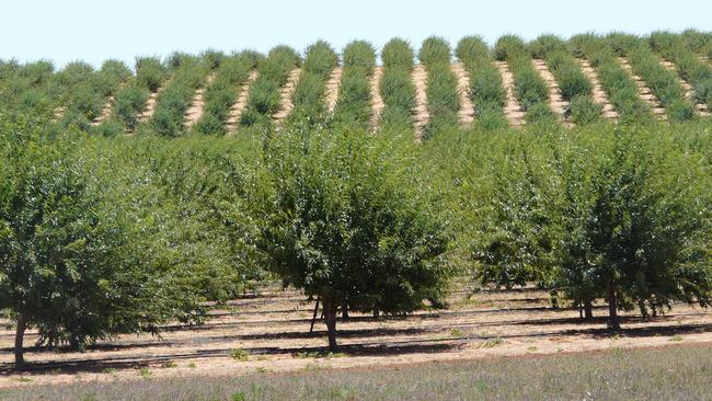 Returns from farming have slipped for the fourth quarter in a row, according to the latest Australian Farmland Index report.