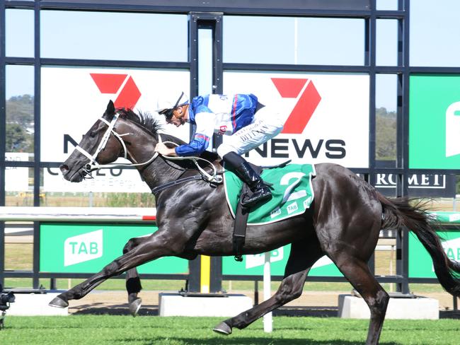 Waller follows Group 1 trifecta with Ipswich winner