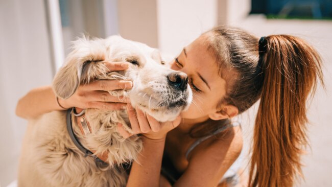 It's good news for good doggos everywhere. Image: iStock