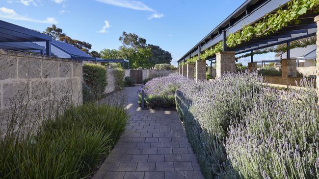 Lavender and blue skies at The Louise. Picture: George Apostolidis