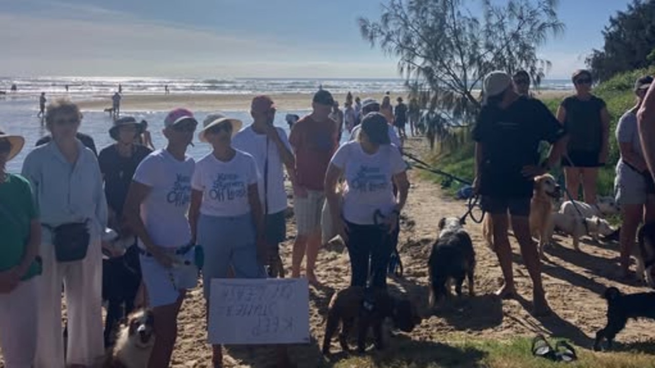 ‘Discriminatory’: Outrage over popular dog beach plans