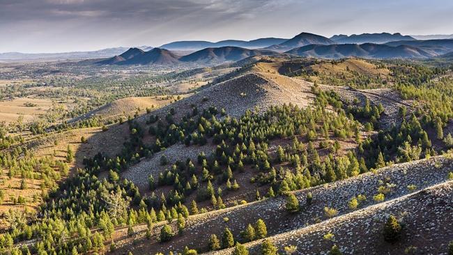 Learn how to capture nature’s photogenic side with Richard I&#39;Anson.