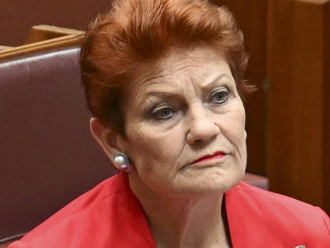 CANBERRA, AUSTRALIA  - NewsWire Photos - November 27, 2024:  Senator Pauline Hanson during Question Time in the Senate at Parliament House in Canberra. Picture: NewsWire / Martin Ollman