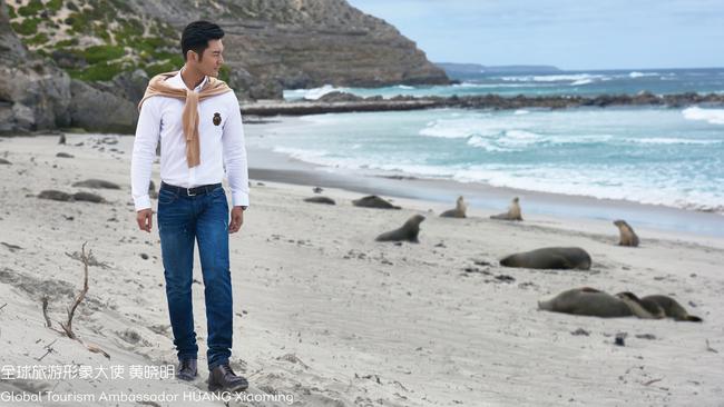 Chinese actor Huang Xiaoming at Kangaroo Island. Picture: South Australian Tourism Commission