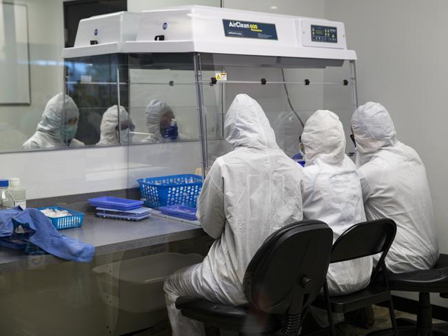 Workers at Aria Diagnostics in Indianapolis assemble COVID-19 tests that will be bound for New York. Picture: AP