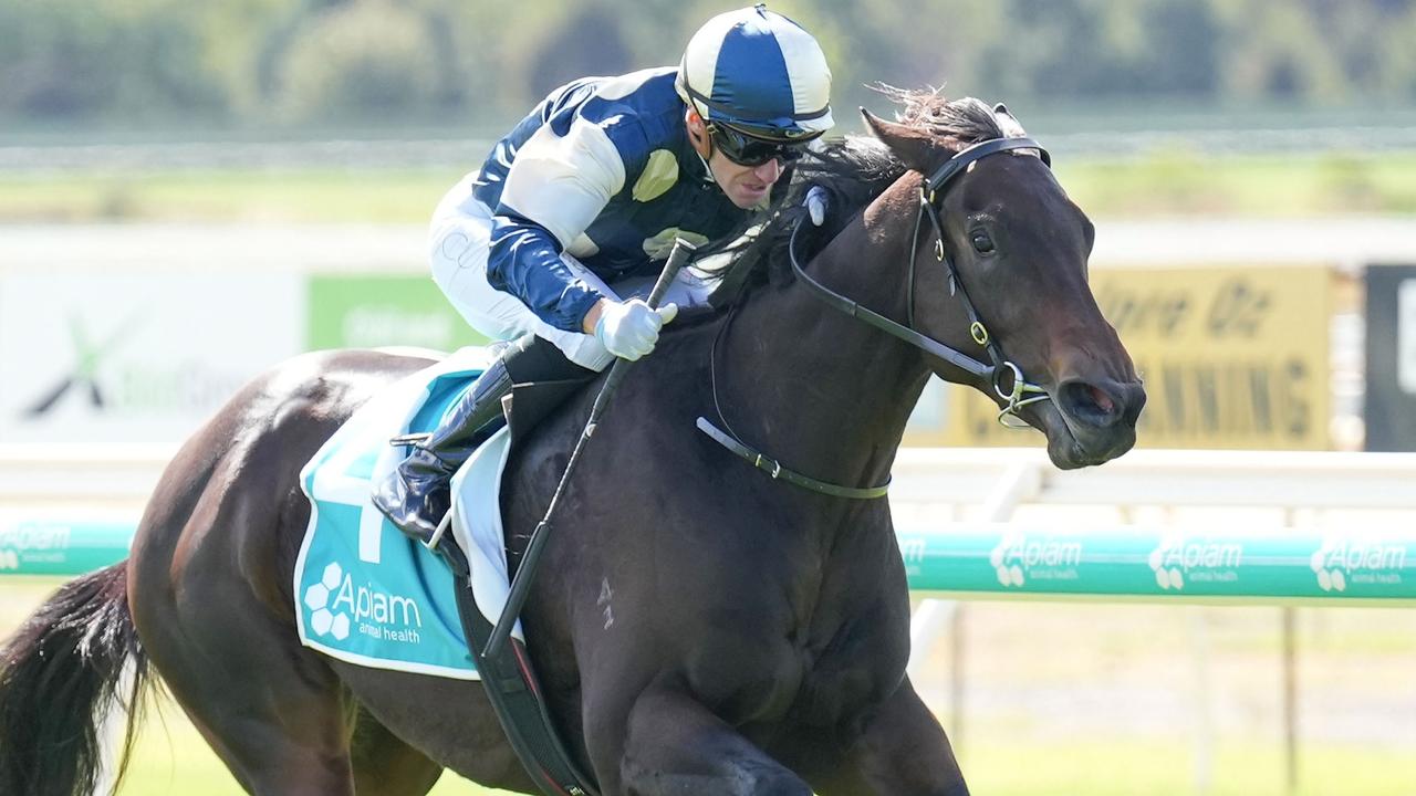 2024 Carlyon Stakes at Moonee Valley: Bold Bastille locked in | CODE Sports