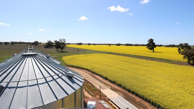 Victorian and Tasmanian farmland prices have dropped by 15 per cent since last June. Picture: Yuri Kouzmin