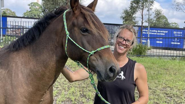 Ainslie Daniels with 'Mr Brown', a brumby she trained, at Castle Hill Showground. Picture: Odessa Blain.