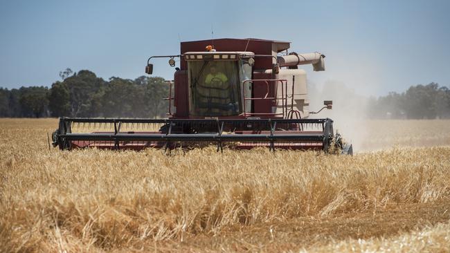 Good Step: Thomas Elder Market’s Andrew Whitelaw says Australia has found a home for a large volume of barley and events overseas have provided a much stronger price. Picture: ZOE PHILLIPS