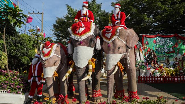 The Santa elephants at the Jirasat Wittaya elementary school in Phra Nakhon si Ayutthaya, Thailand, on Wednesday. Picture: Getty Images