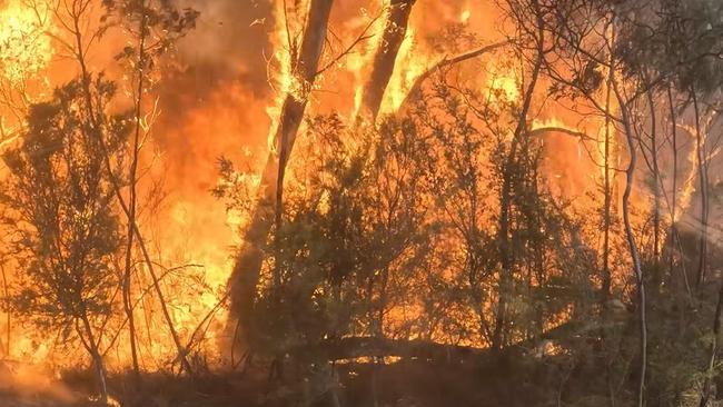 Residents have been urged to leave as multiple bushfires continue raging across western areas of regional Victoria. Picture: Supplied