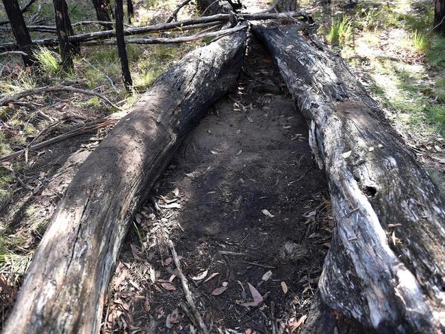 Karen Ristevski’s body was found in Macedon Regional Park bushland. Picture: Nicole Garmston