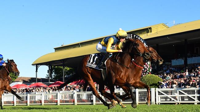 Zac Lloyd breaks through for his maiden Group 1 aboard Stefi Magnetica in the Stradbroke Handicap for trainer Bjorn Baker. The grandstand is pictured in the background. Picture: Grant Peters - Trackside Photography