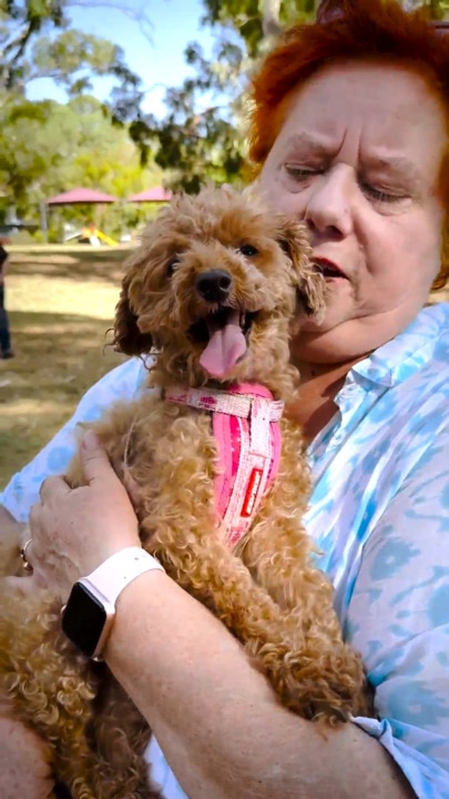 Found! How little Flossie came home