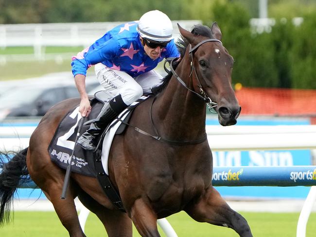 Feroce will attempt to go one better than his Caulfield Guineas result in Saturday's Group 1 Australian Guineas at Flemington. Picture: Racing Photos via Getty Images.