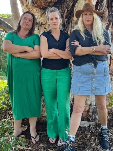 Byron Shire Council Deputy Mayor Sarah Nydiae, Greens MP Sue Higginson and Greens candidate for Richmond Mandy Nolan protesting the Wallum Development at Brunswick Heads. Picture: Supplied