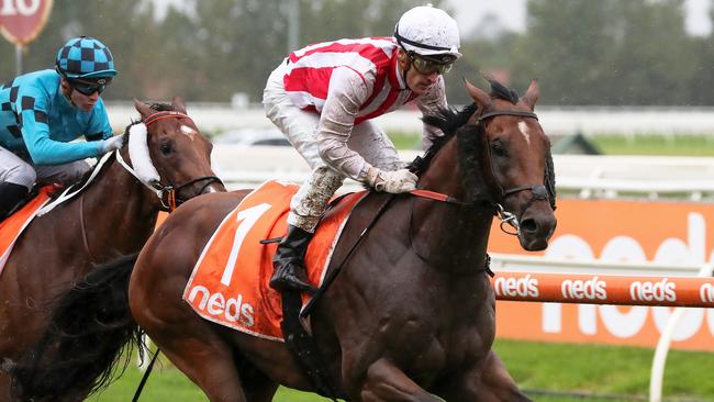 Super Seth will line up in the Doncaster Mile. Picture: Getty Images