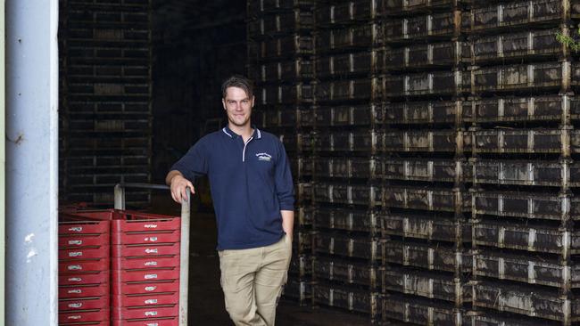 Luke de Wit in the shed where his oriental bulbs grow for up to two weeks before being planted in a greenhouse.