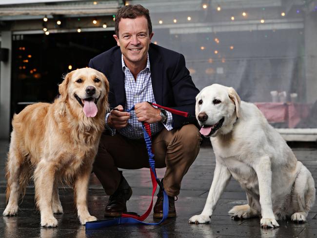 Attorney-General Mark Speakman with Golden Retriever Lucy and Labrador Ralph. Picture: Adam Yip