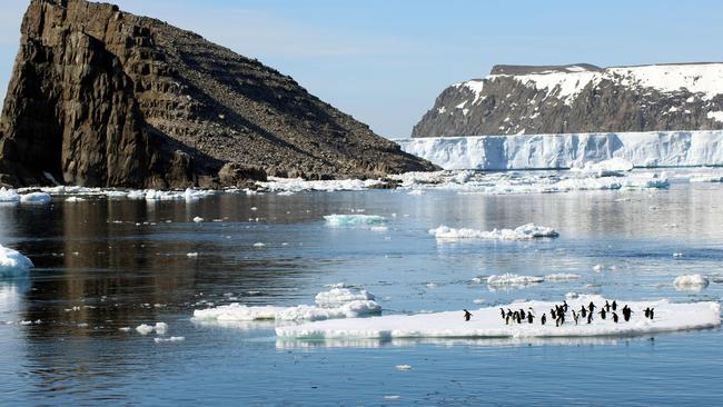 Comb Island, Antarctica.